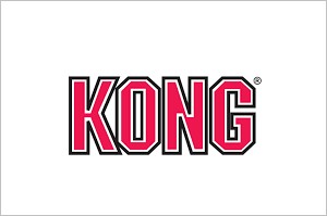 logo kong chien