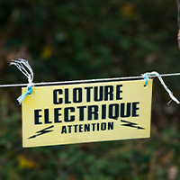 cloture electrique