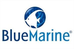 Logo Marque BlueMarine