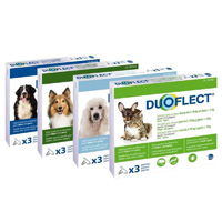 Duoflect chien anti puces