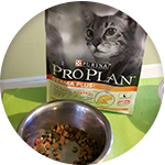croquette purina chat