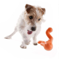 chien qui joue avec son jouet zogoflex