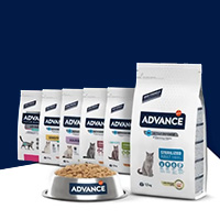 gamme croquettes chat advance