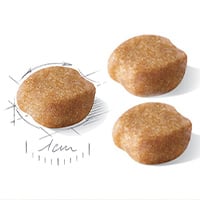 Croquettes chien royal canin