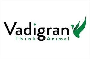 logo marque Vadigran