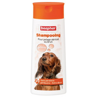 shampoing beaphar pour chien 