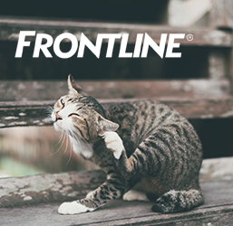 Gamme frontline pour chat