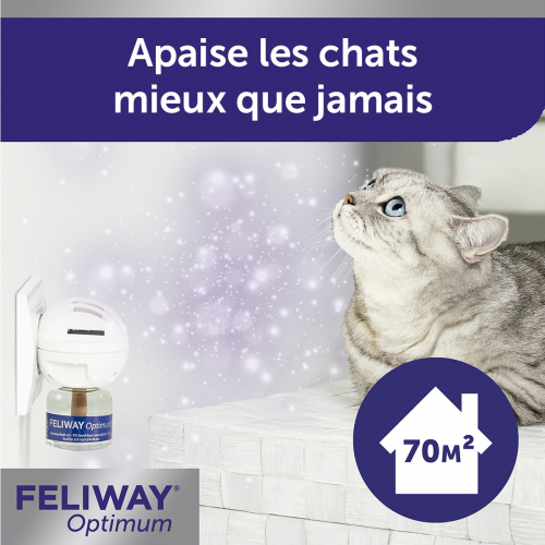 Comment Enlever l'Odeur d'Urine de Chat en 6 étapes ? - FELIWAY France